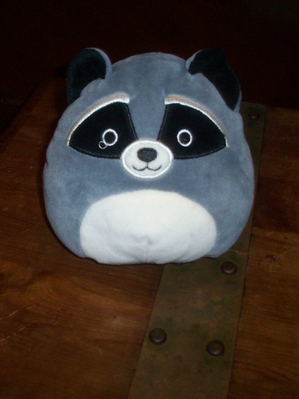Squishmallow 5” Rocky Raccoon Wild Animal Plush KellyToy